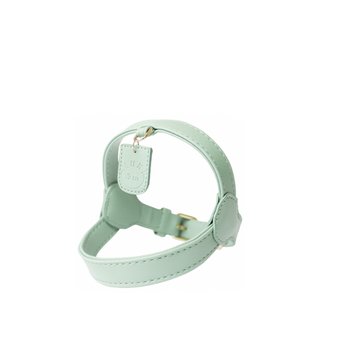 Geschirr  Menta viridi