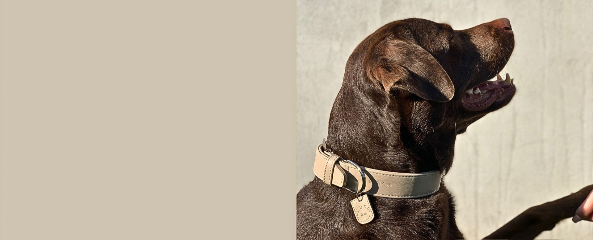 slider image 1621243260e1af0c20-2